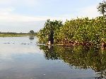 Doing errands by canoe, Wakapoa, Guyana