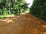 Bartica-Potaro road, Guyana