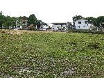 Sherima, Essequibo, Guyana