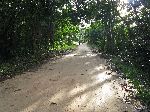 Rockstone Road, Guyana