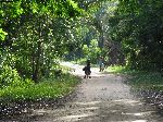 Rockstone Road, Guyana