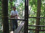 Canopy walk, Iwokrama Forest, Guyana