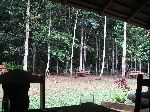 Atta Lodge, Iwokrama Forest, Guyana
