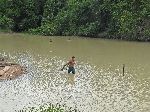 Man fishing with casting net, Woweta, Rupununi, Guyana