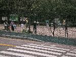 Morning Tai-chi in Seoul park, South Korea