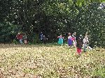 Scarecrow-type figures on the road side