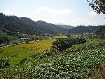 Farm valley with forested hills