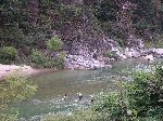 habitat of "Brachymystax lenok"
