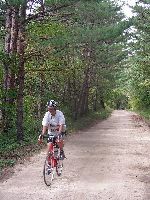 dirt road in Odaesan National Park