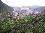 Taebaek