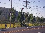 lineman works on the telephone lines from trapeze