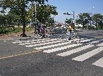 Renting bike with a group of friends and tour the city