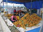 Persimmon, South Korea