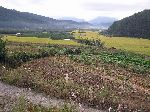 The valley floor is used for agriculture.  The hillsides are forested