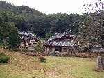 Buddhist Temple