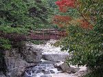 Autumn color, South Korea