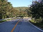 Cherry trees along road, Hapcheon Lake, Korea