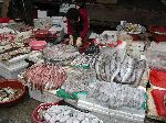 Fish mongers in the market, Jinju