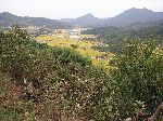 farmland and hills