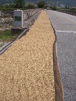 rice drying on the roadside, Korea