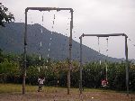 girls on swings