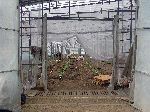 Greenhouse interior