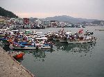 Wando harbor and fishing fleet