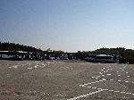 Buses fill parking lot