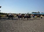 School girls horseback riding