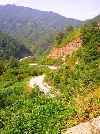 mountain road, south of the DMZ, South Korea