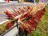 millet drying on a guard rail