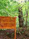 , Mungyeong Saejae Provincial Park