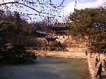 Buyongji Pond, Huwon, Secret Garden, Changdeokgung