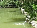 Pond at King Hyojang's tomb