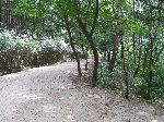 Road through Mungyeong Saejae Provincial Park