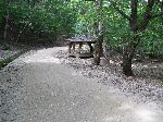 Road through Mungyeong Saejae Provincial Park