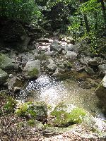 Stream, Mungyeong Saejae Provincial Park