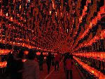 Tunnel of lanterns, Jinju's Namgang Yudeung (Lantern) Festival