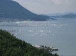 Aquaculture and islands of the South Sea, Korea