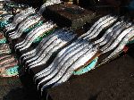 Fresh fish, Jagalchi Mraket, Busan