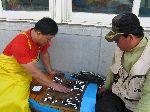 Fish mongers playing go on a break, Jagalchi Mraket, Busan