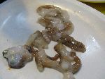 Raw (live) octopus, Sindonga Fish Market
