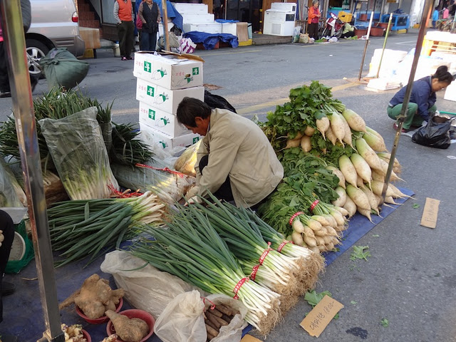 dikon, Sangju market, Korea