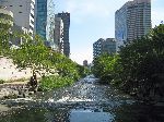 Cheonggyecheon Restoration Project, Seoul, South Korea