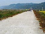 Farm road through flat farm land