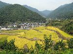 Rice farms, Hapcheon
