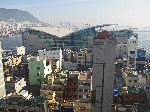 Seagull-winged, Jagalchi Mraket, Busan