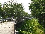 Short section of non-motorized trail south of Ulchin