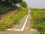 Gyeongju bicycle path / trail