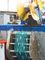 Squid boats, Suchon harbor, Korea